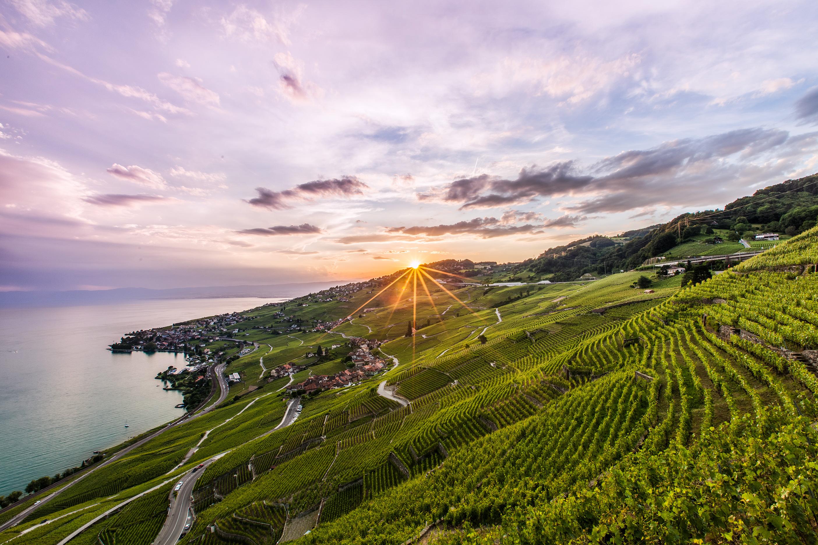 Coucher de soleil Lavaux