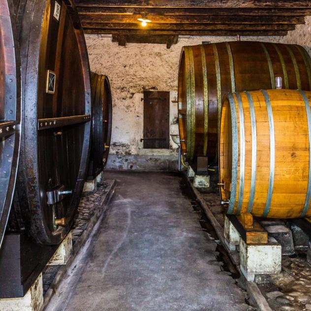 Tuesday's aperitif at the Castle in Luins