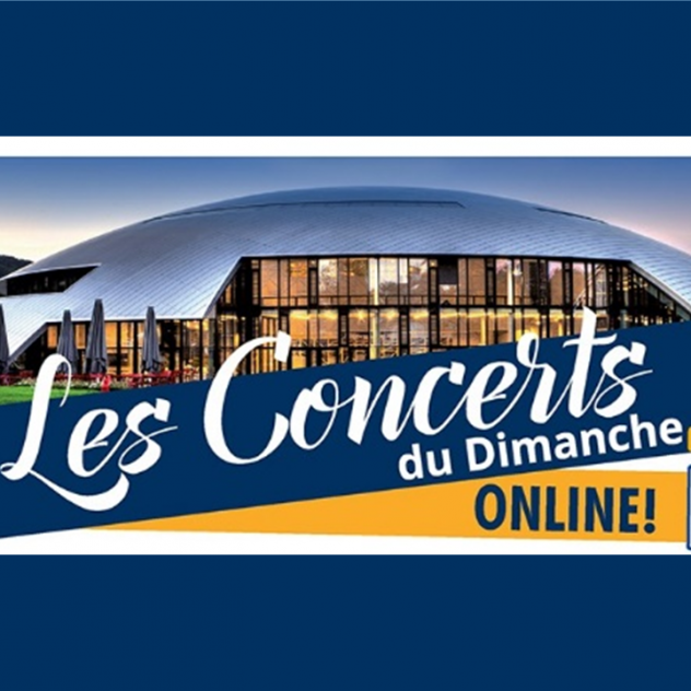 Online concert - Menuhin Academy