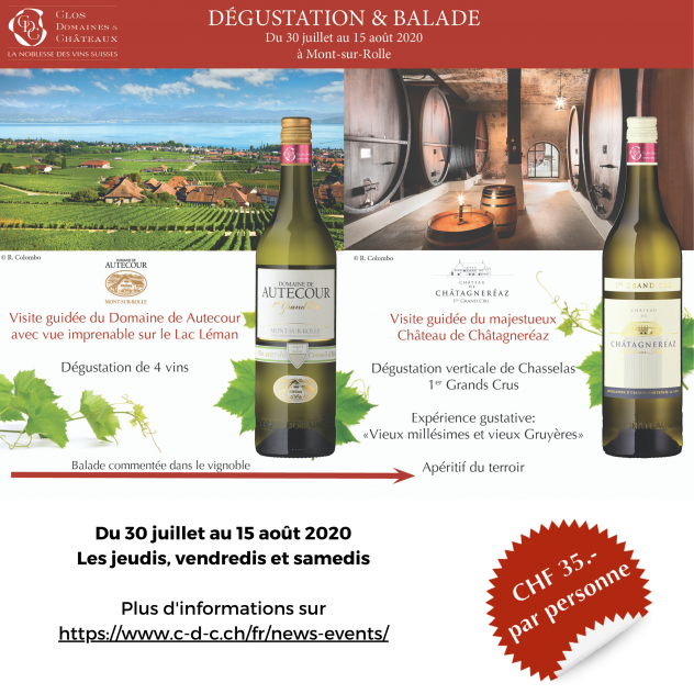 Wine tasting & gourmet walk between two prestigious estates