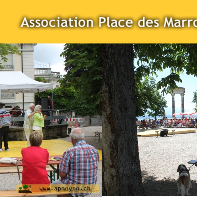 Concerts d'été - Association Place des Maronniers