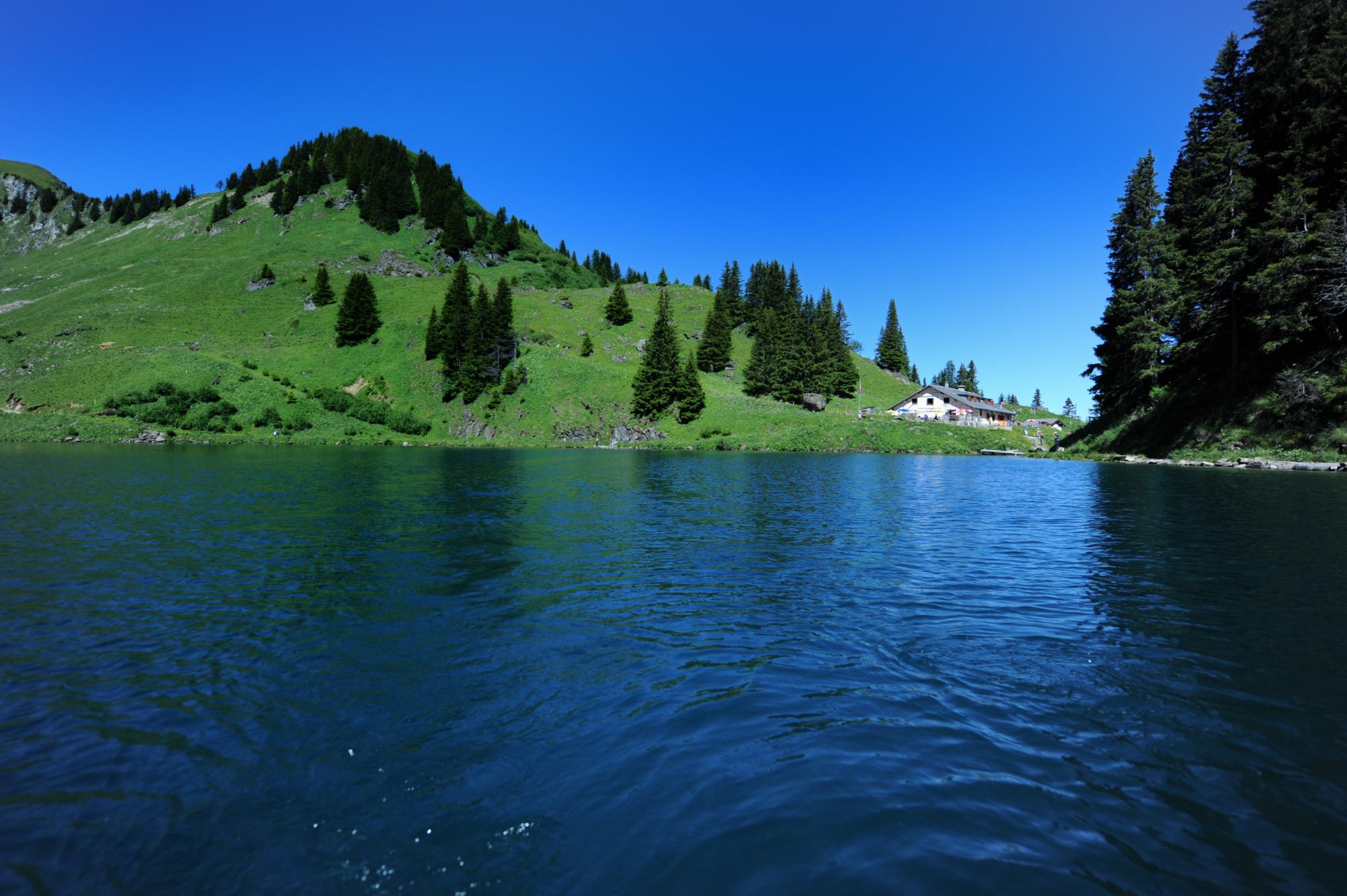 Lac Lioson - Sommer - Les Mosses