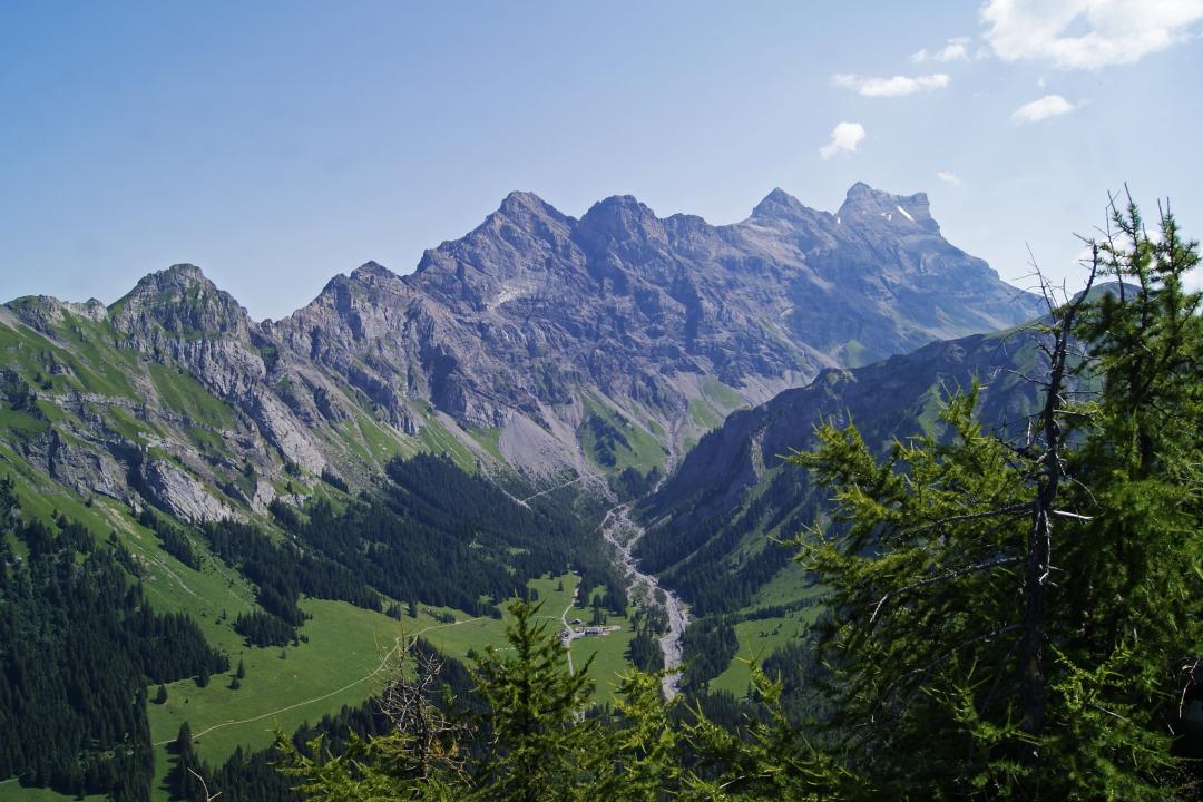 Solalex
