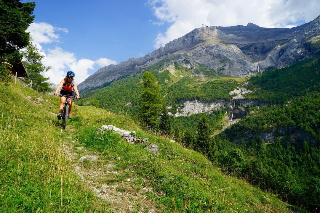 Nos parcours