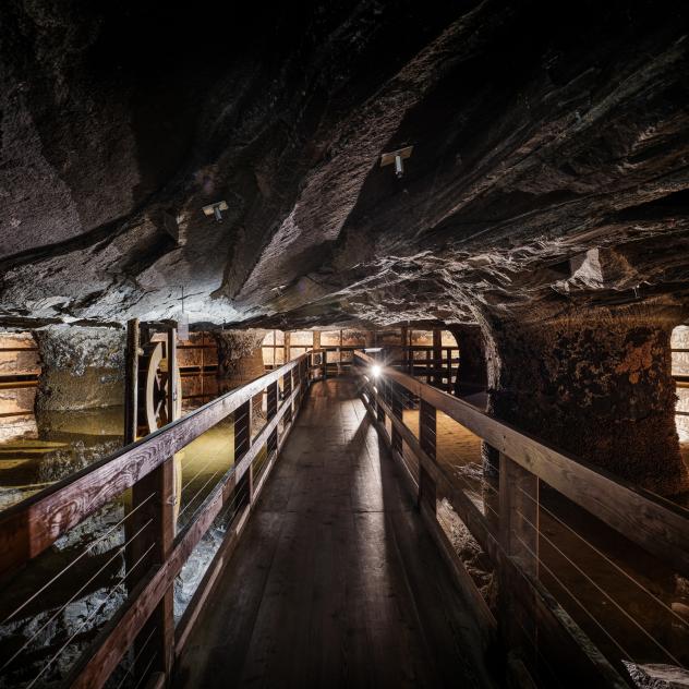 Mines de Sel des Alpes