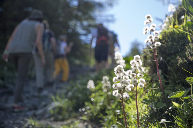 Stay in Villars or Les Diablerets for a sucessful trip to the mountains