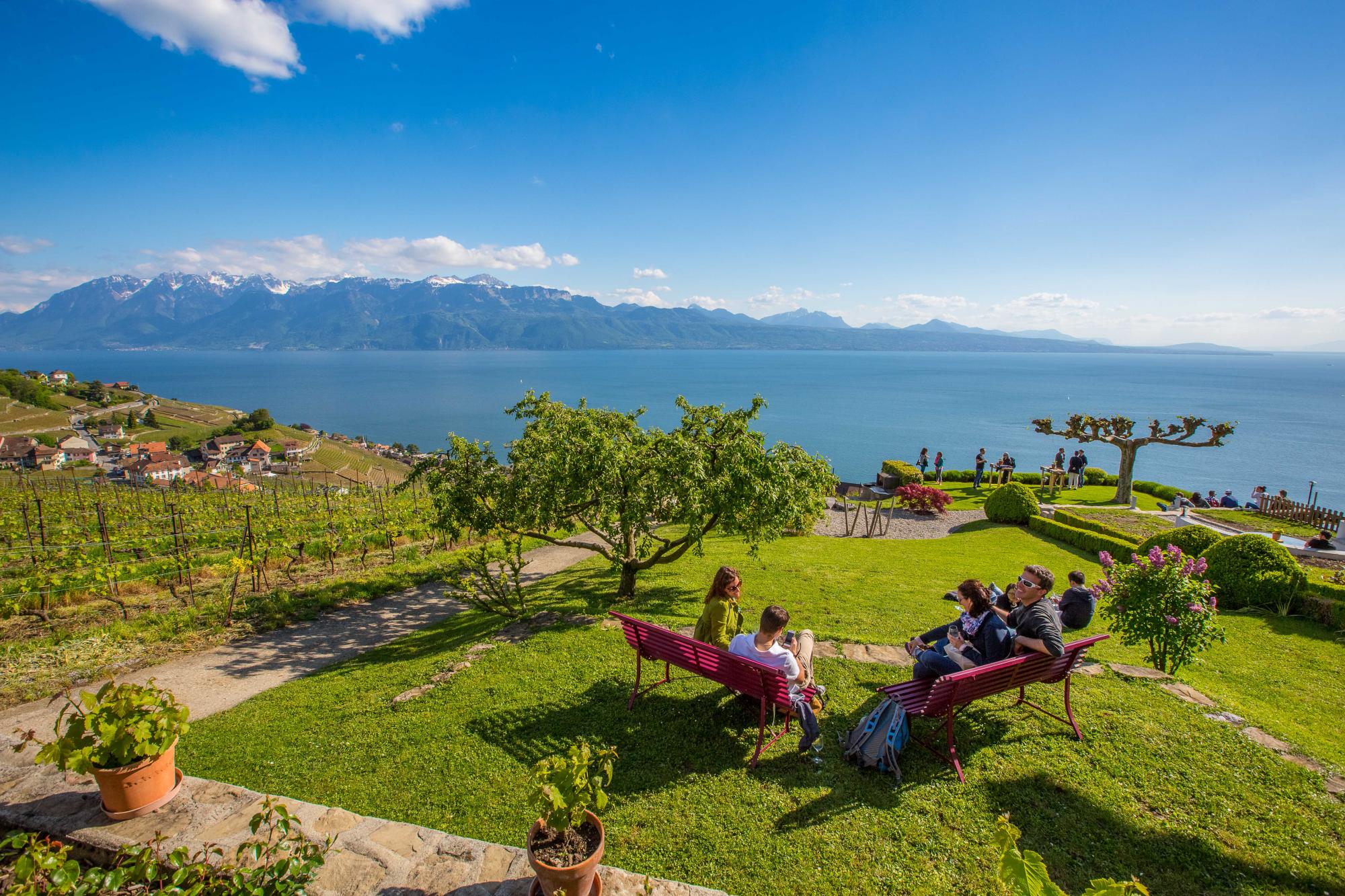 Vaud Open Cellars - 2-day pass