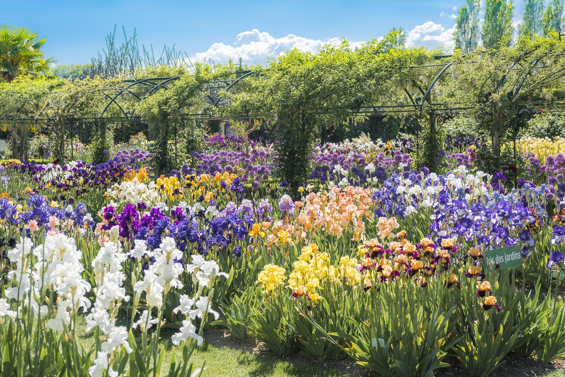 Jardins des iris