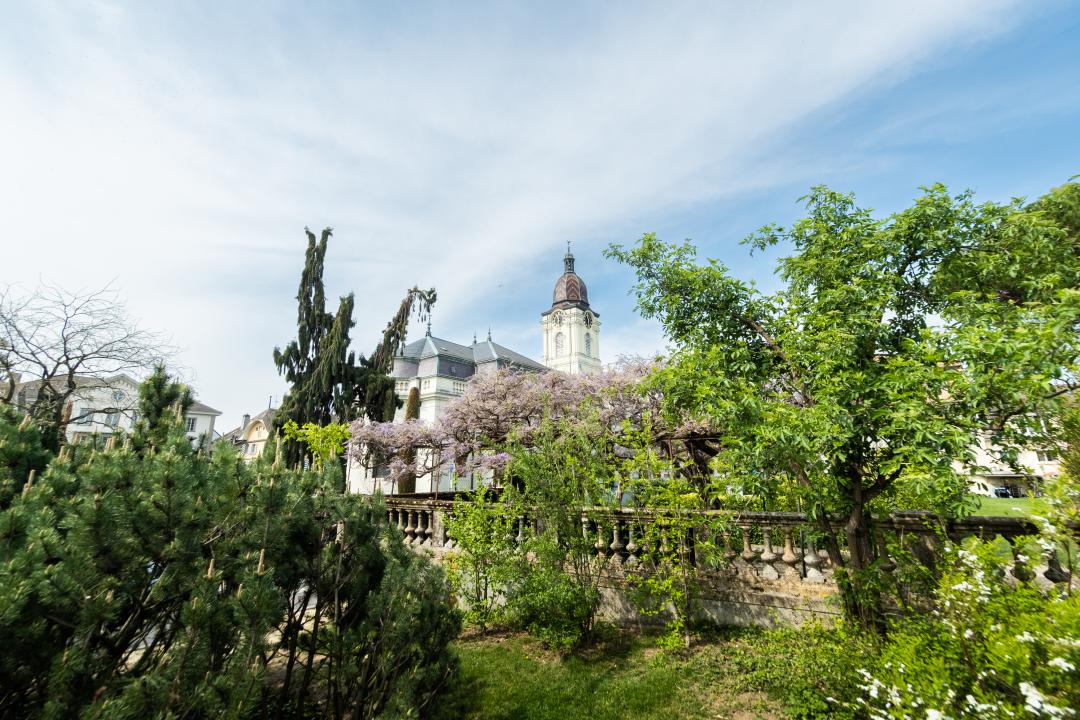 Temple de Morges - arbres