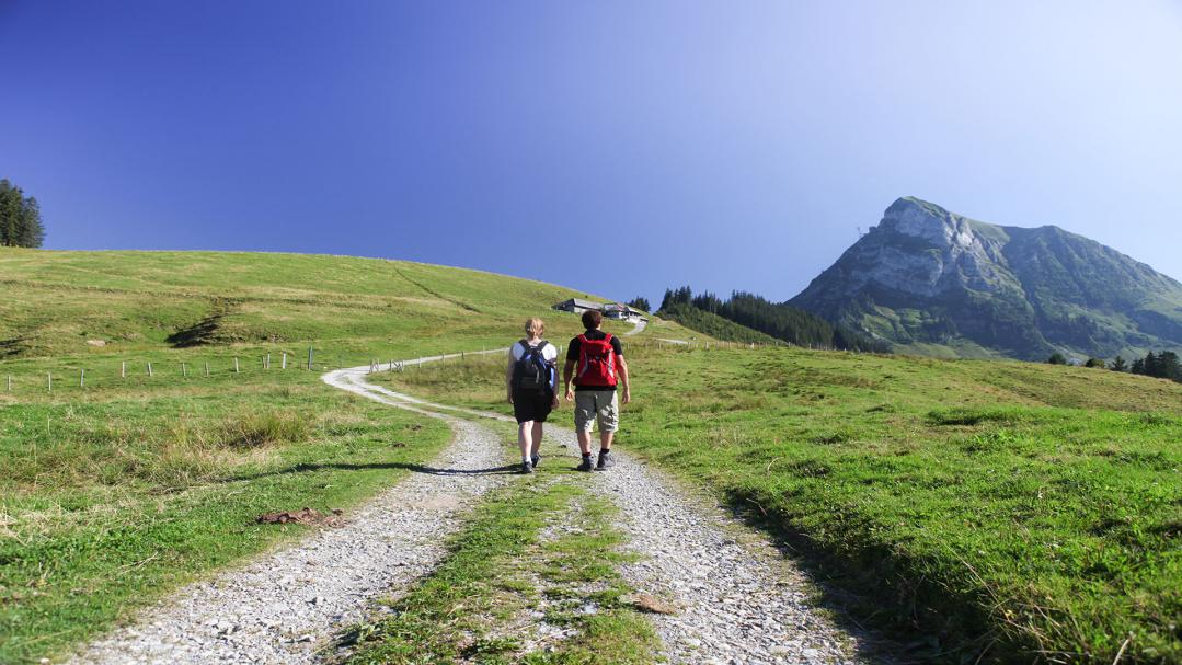 Auberge de jeunesse, Backpackers