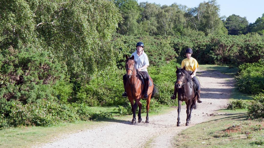Reiten