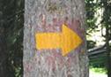 Flèche chemin de randonnée