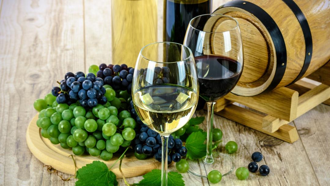 Vignerons et Caves