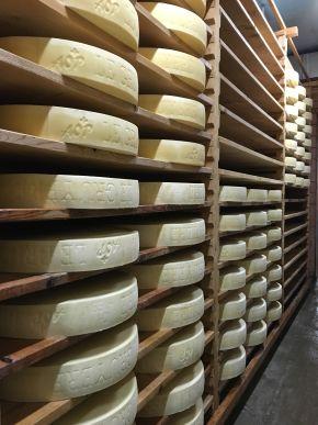 Laiteries & fromageries