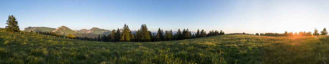 Guide et accompagnateurs en montagne