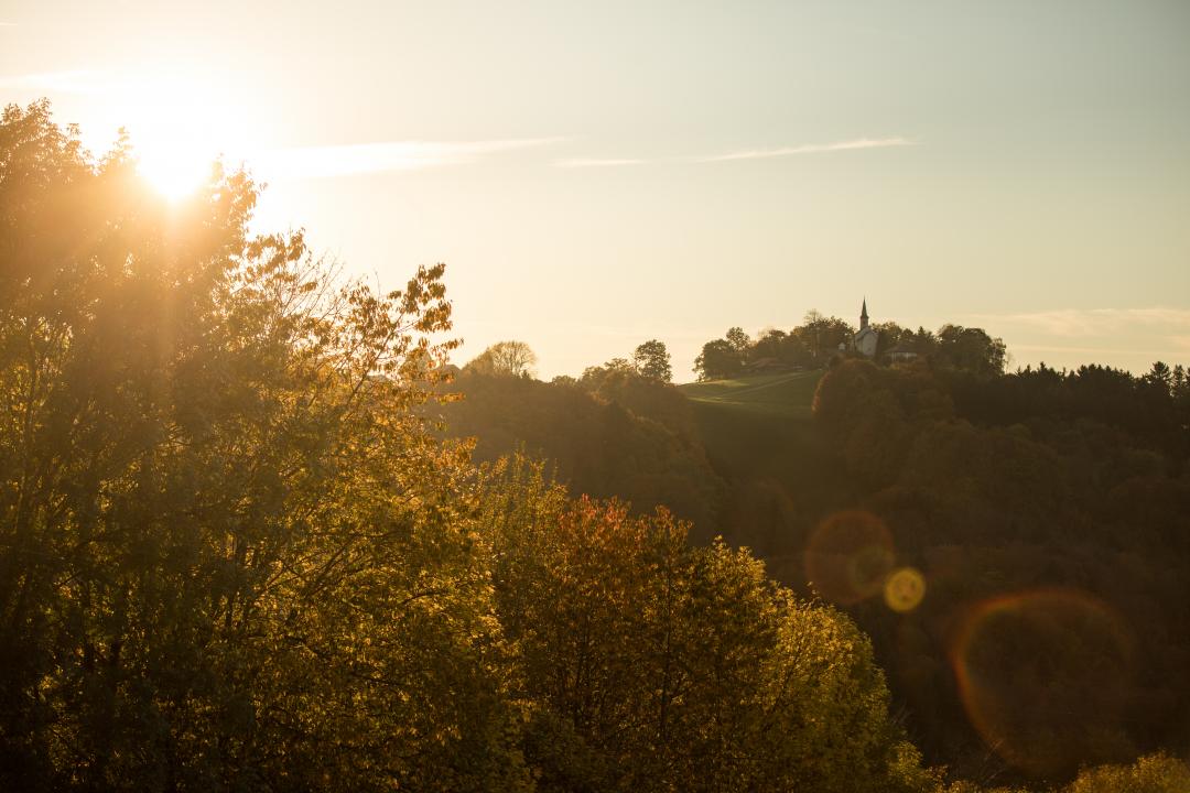 FRIBOURG REGION / Ref.AM058