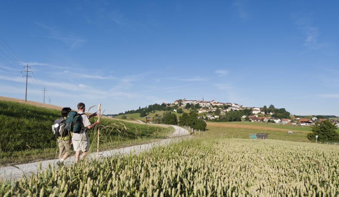 Hébergements pour pèlerins