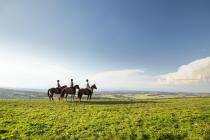 Horse riding in Ajoie