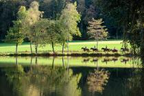 Horse riding tour