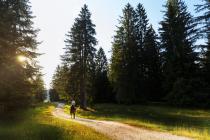 Horse riding in Franches-Montagnes