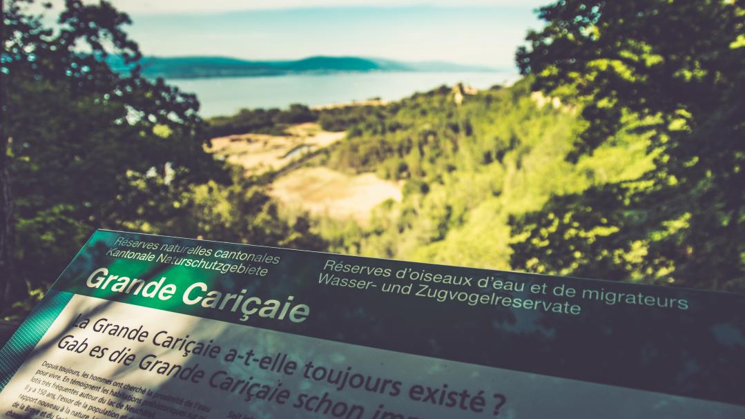 Visit to the Grande Cariçaie nature reserve, south of Lake Neuchâtel