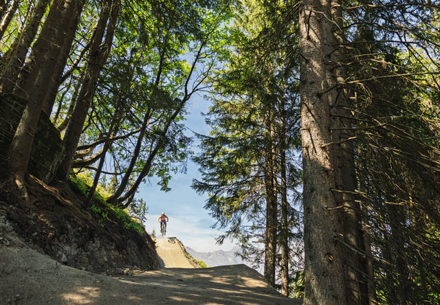 Flowtrail Alpage
