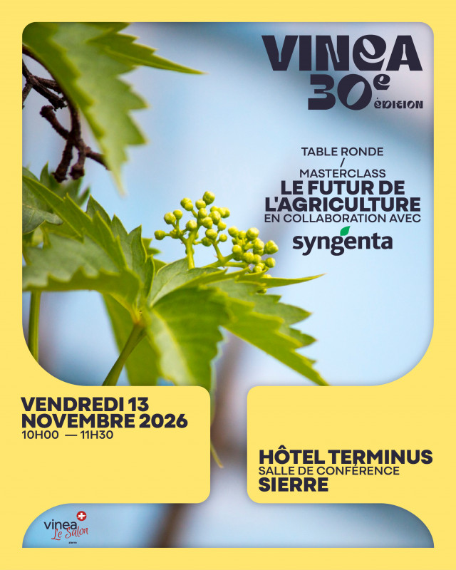 800x600_vinea-2026-masterclass-table-ronde-10694408.jpg