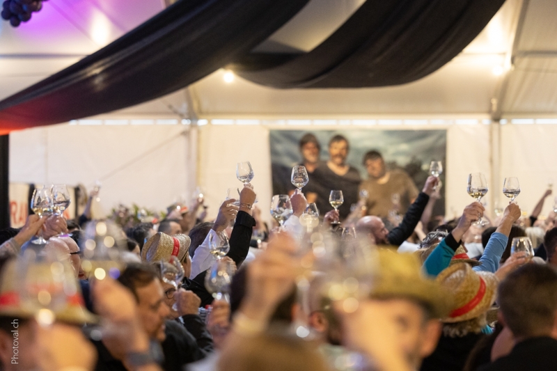 Vinea - Galreyarde - Santé