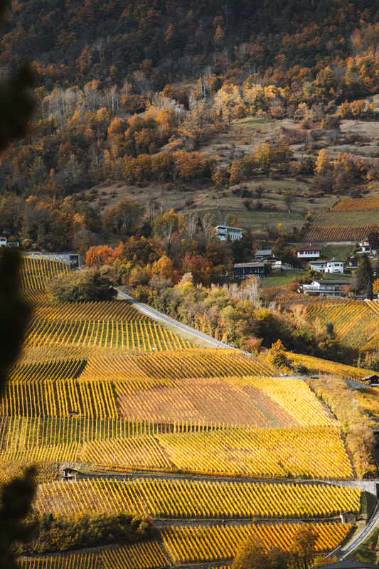 SAM_2025_sierre_libre_automne_20255172.jpg