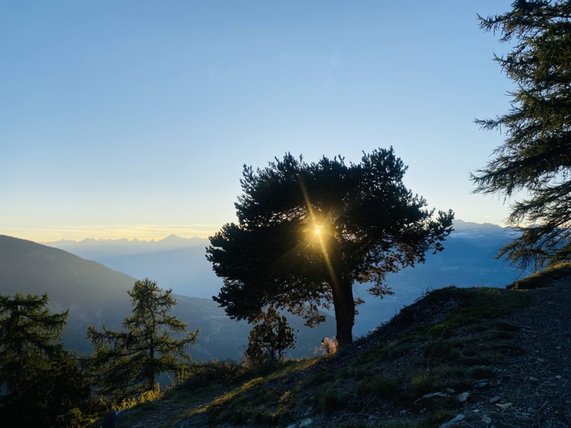 Exposition Katrin Hartmann