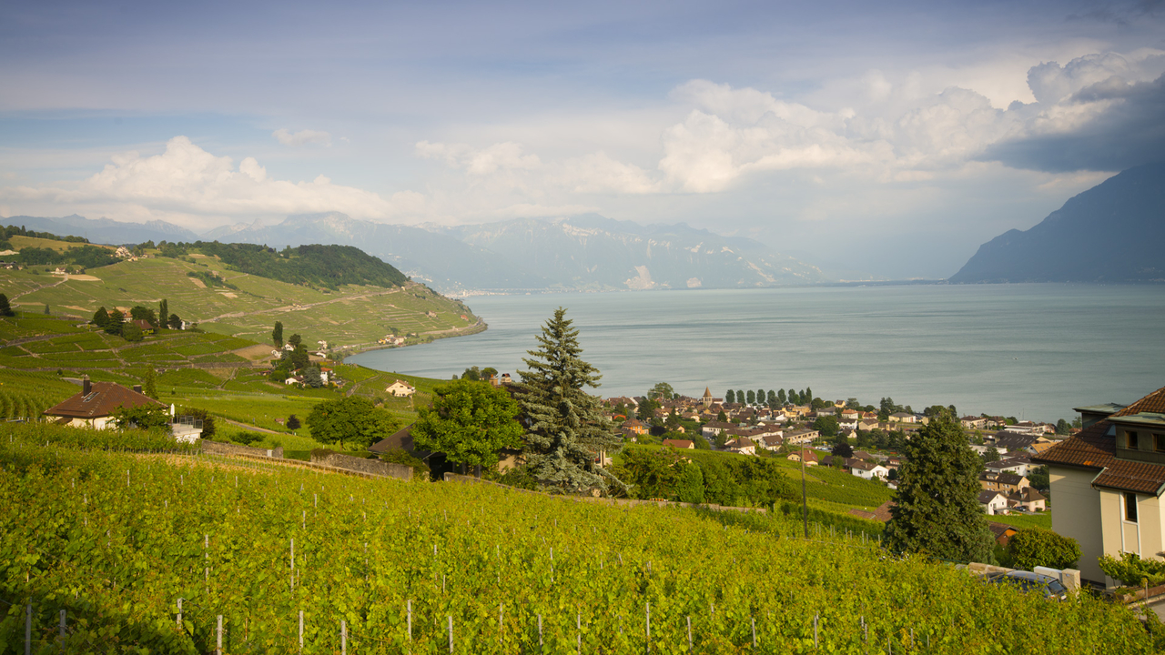 Cully Lavaux