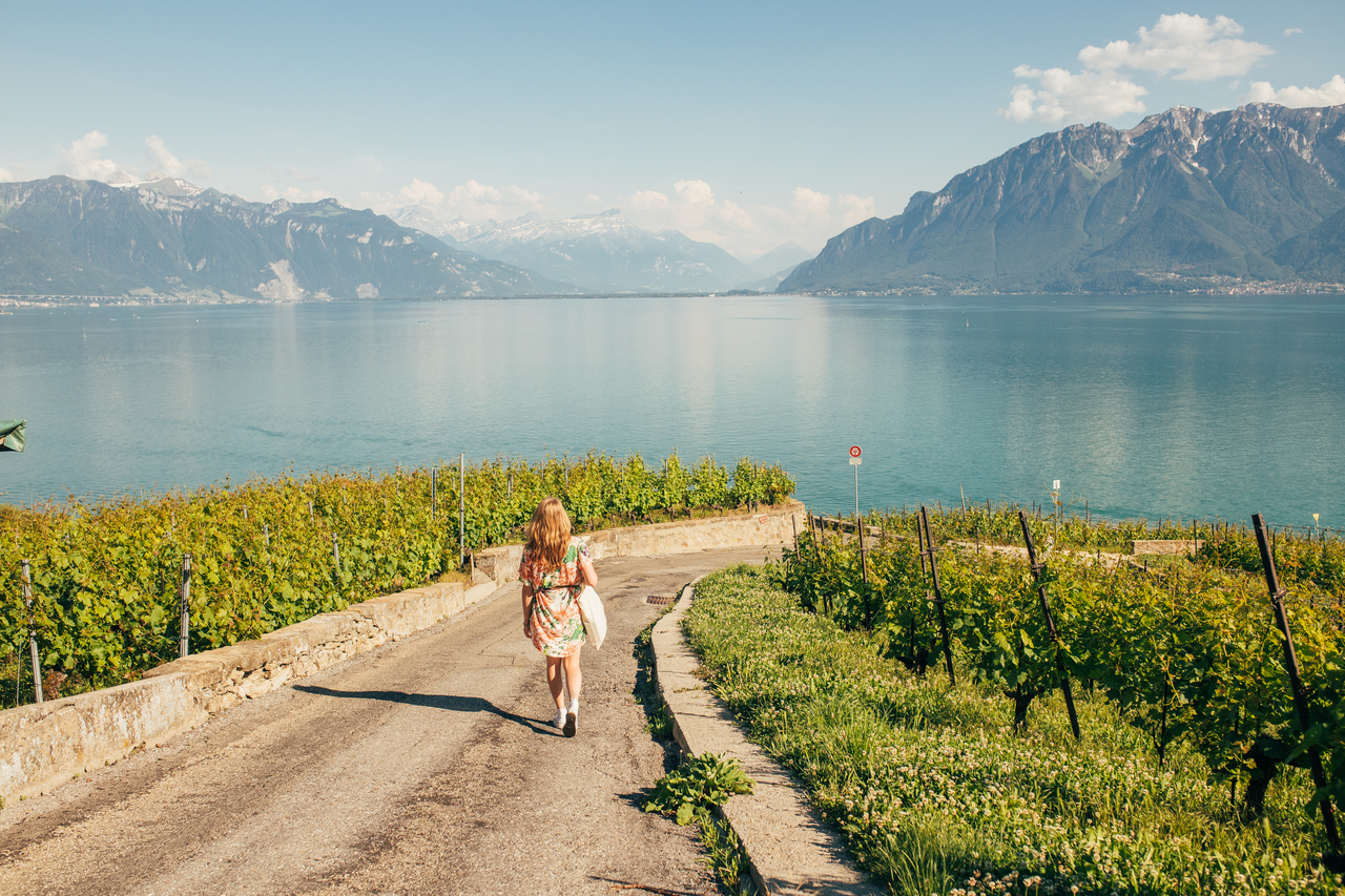 My day in Lavaux Image