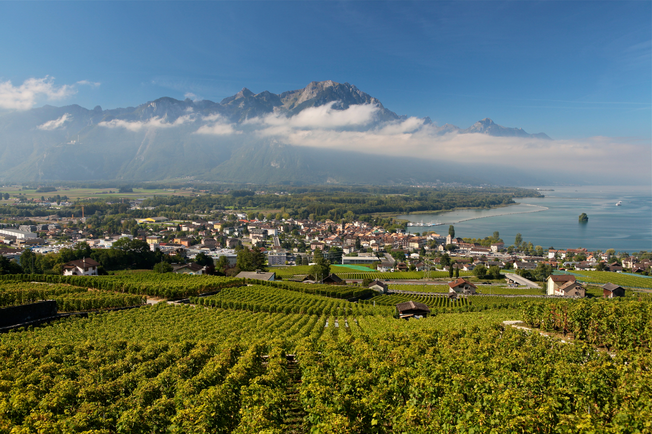 Sentier des Vignes-Villeneuve