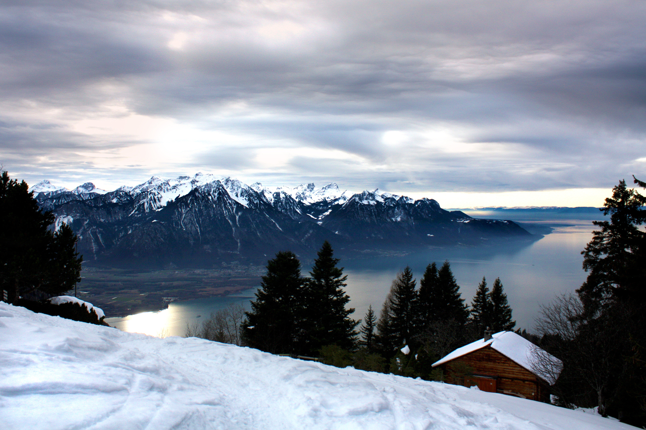 Caux