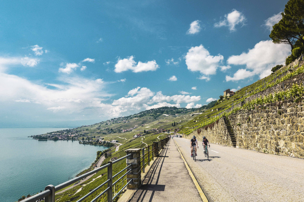 Vélo en Lavaux