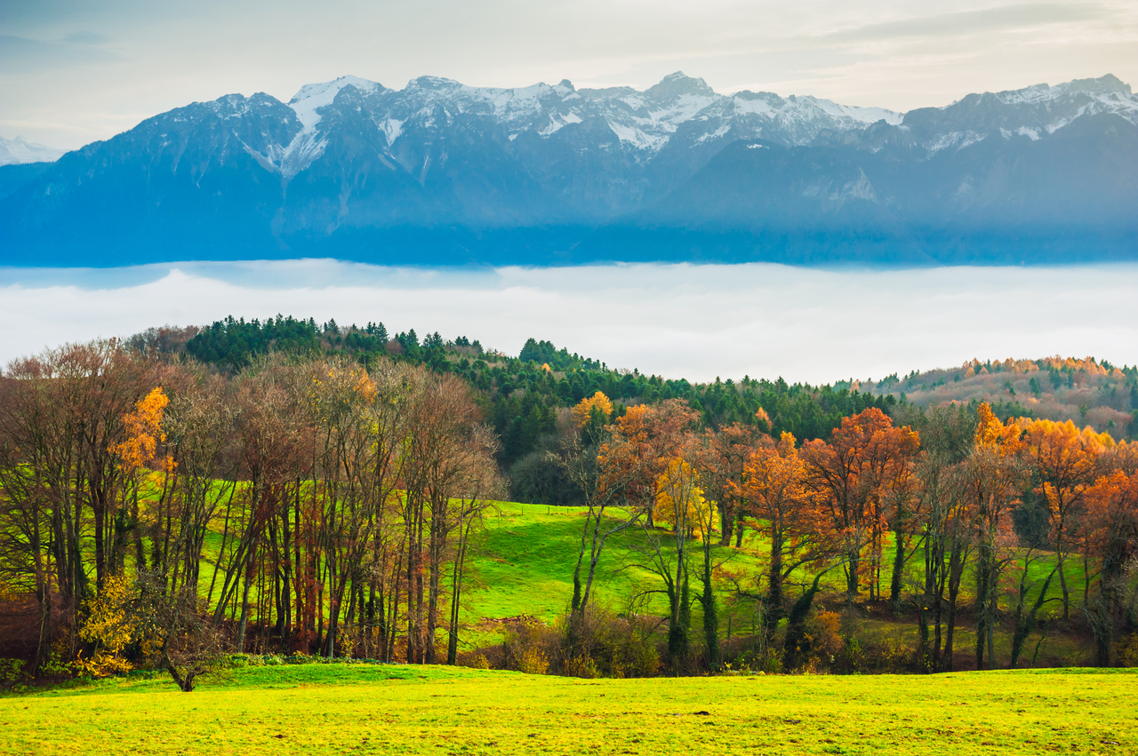 Mont Pélerin
