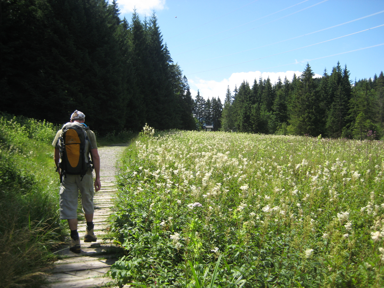 Chemin de Prantin