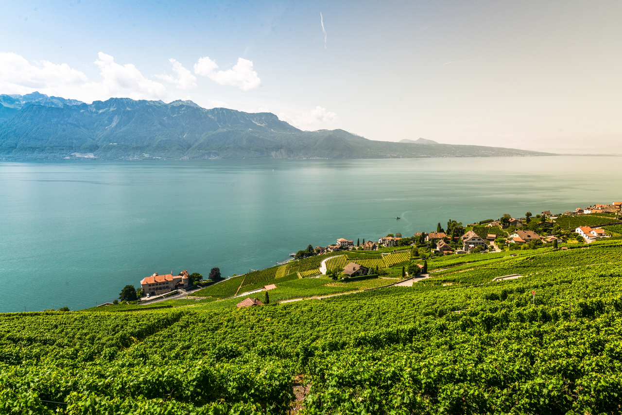 Grand Tour Lavaux vue