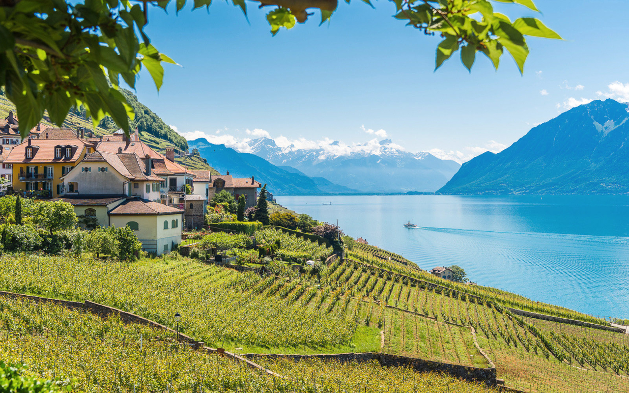 Lavaux - Epesses