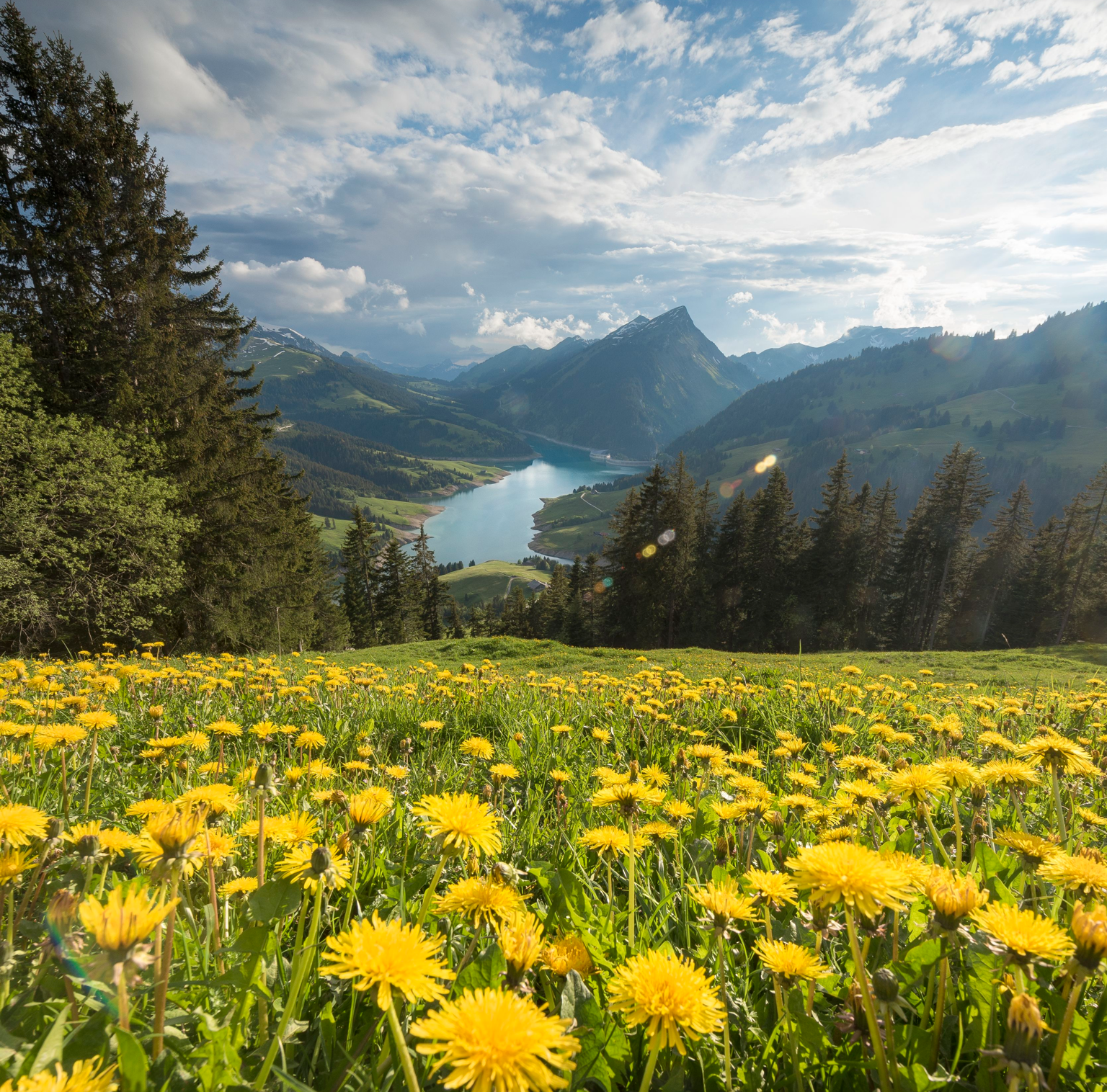 Unumgängliche Wanderungen