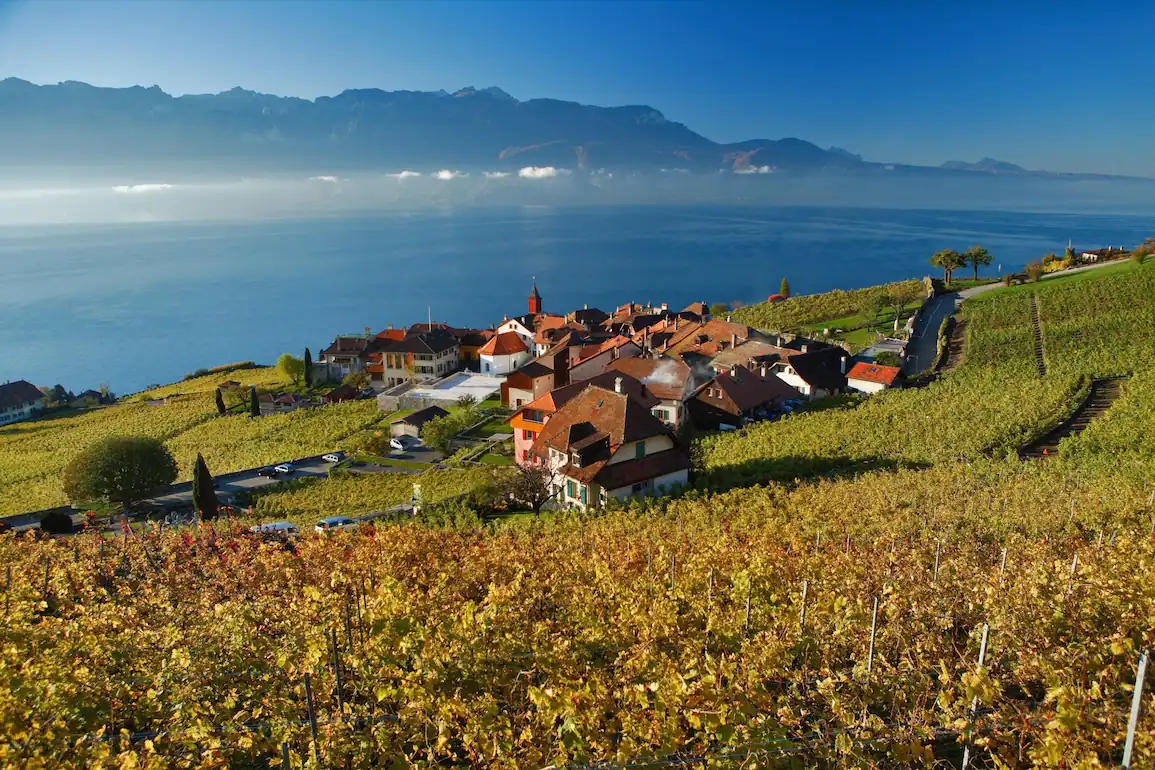 Christelle Conne - Domaine