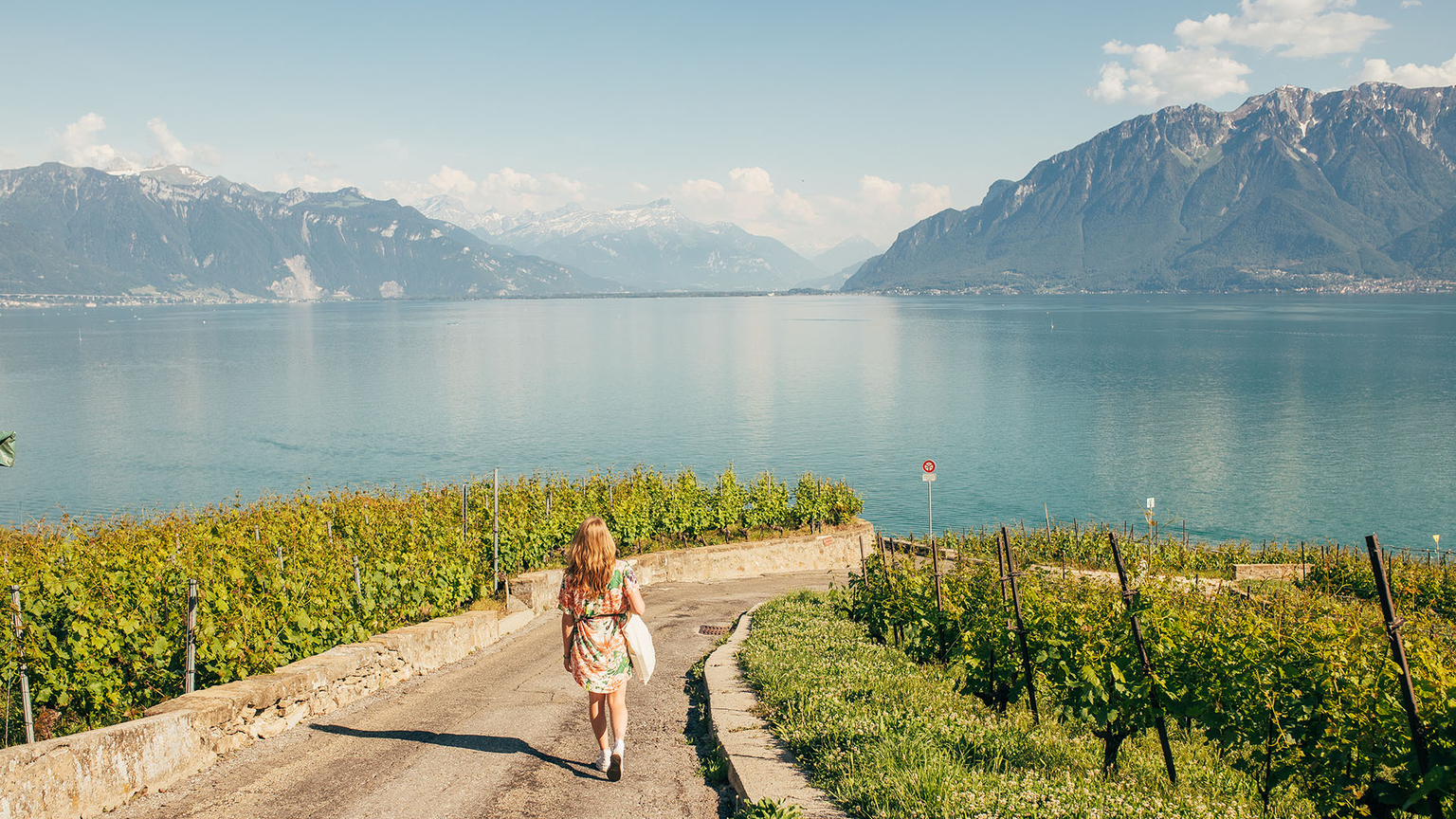 Vue Lavaux