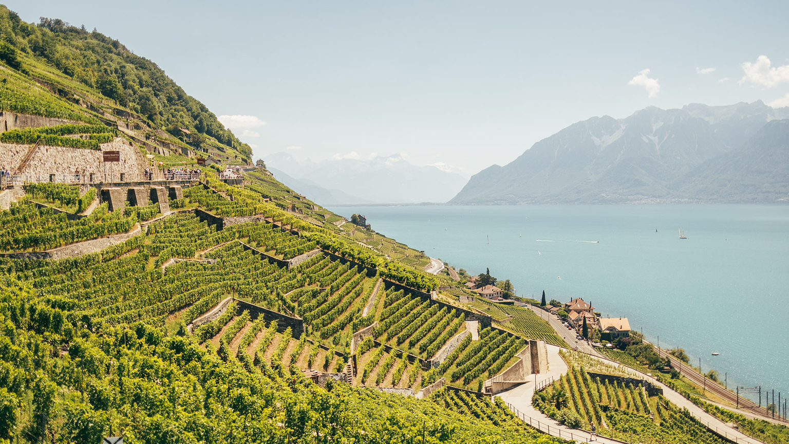 Lavaux
