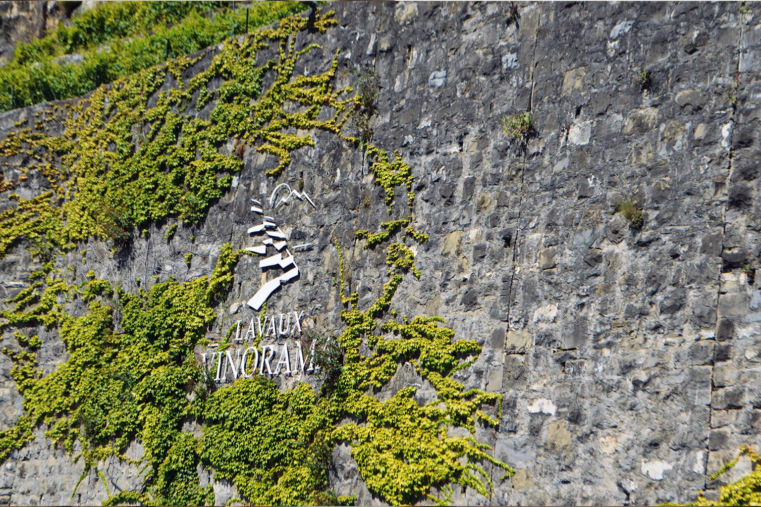 Lavaux Vinorama Mur