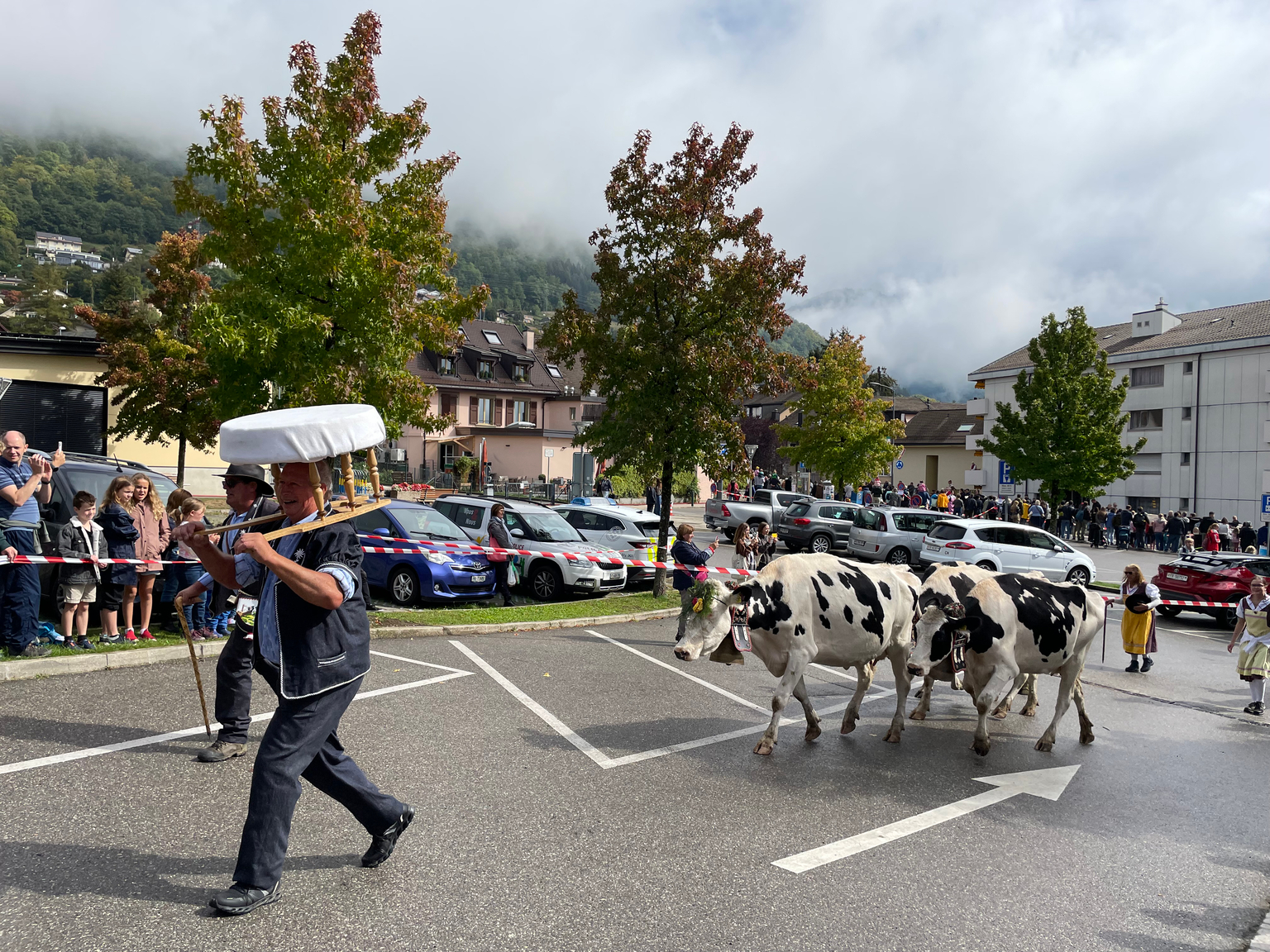 Arrivée d'un alpage au Grand-Pré de Blonay 