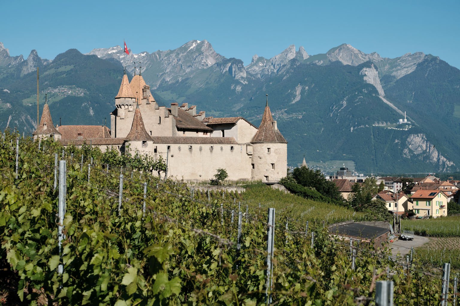 20% | Château d'Aigle