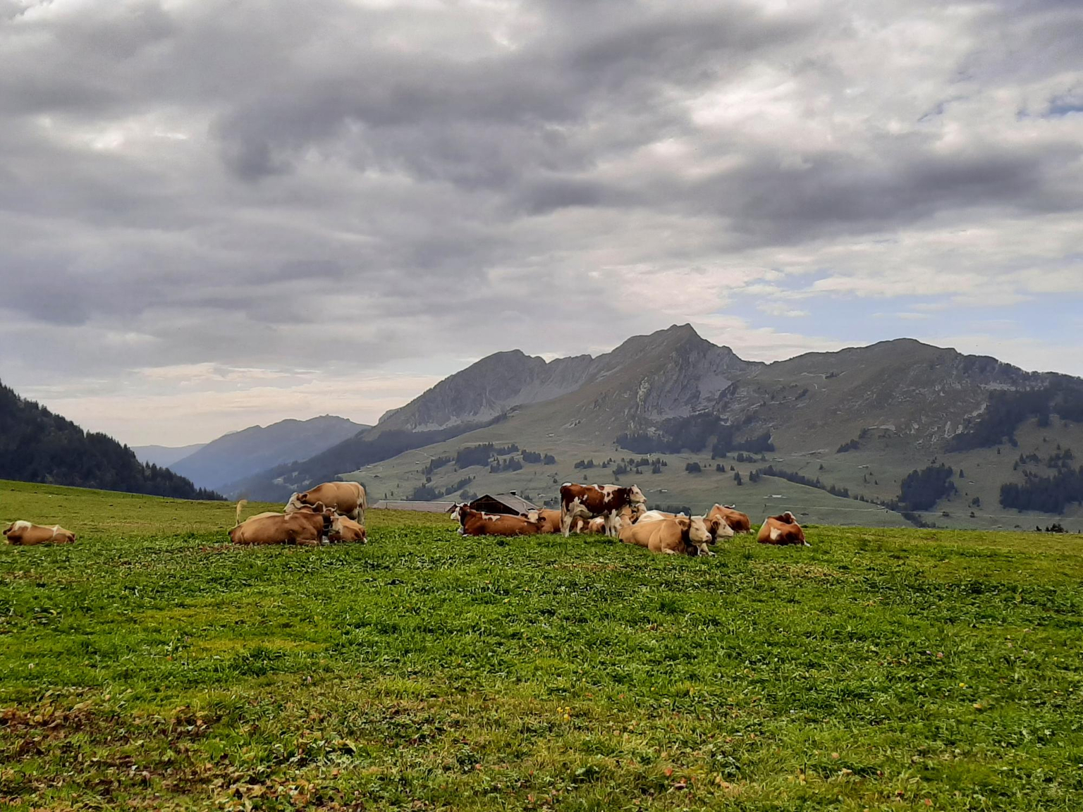 Montée au sommet du Gros Van