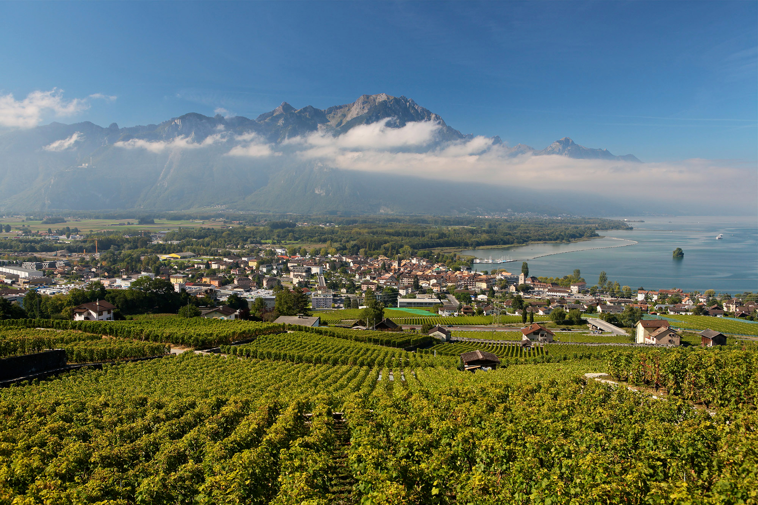 Sentier des vignes | Villeneuve