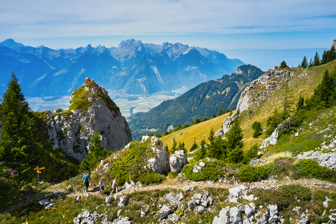 Vertical trail Leysin - Berneuse