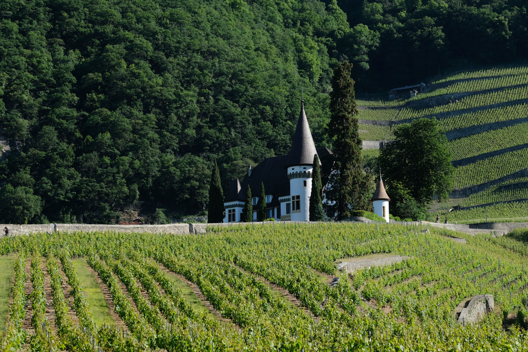 Château Maison Blanche